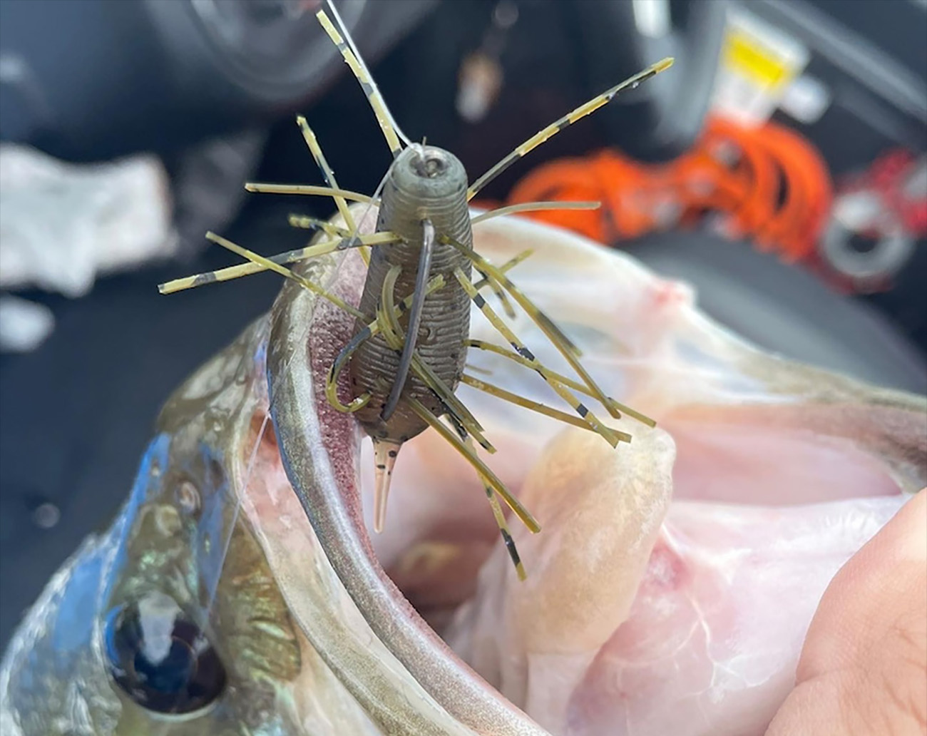 Geecrack Imo Kemushi Floating Elastomer 4 cm 3-pack